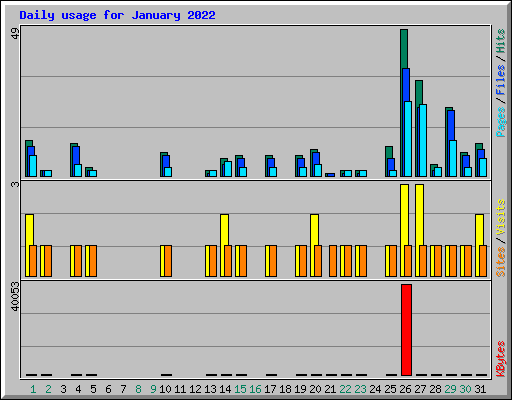 Daily usage for January 2022