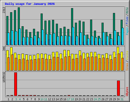 Daily usage for January 2026