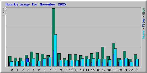 Hourly usage for November 2025