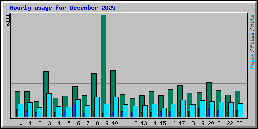Hourly usage for December 2025