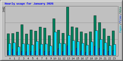 Hourly usage for January 2026